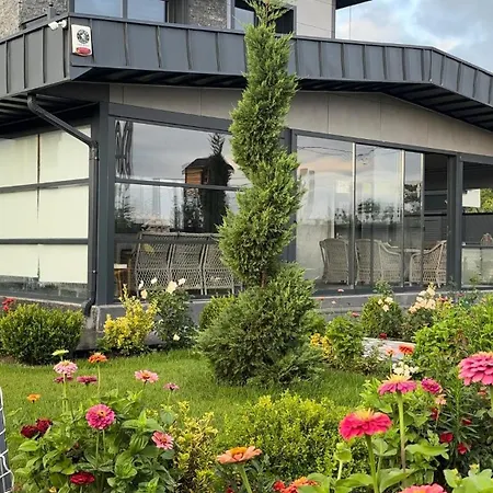 Luxury Near Erciyes Villa