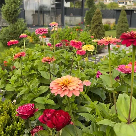 Luxury Near Erciyes Βίλα Hacilar