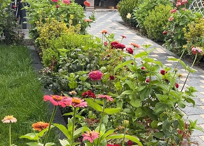 Luxury Near Erciyes Villa Hacilar