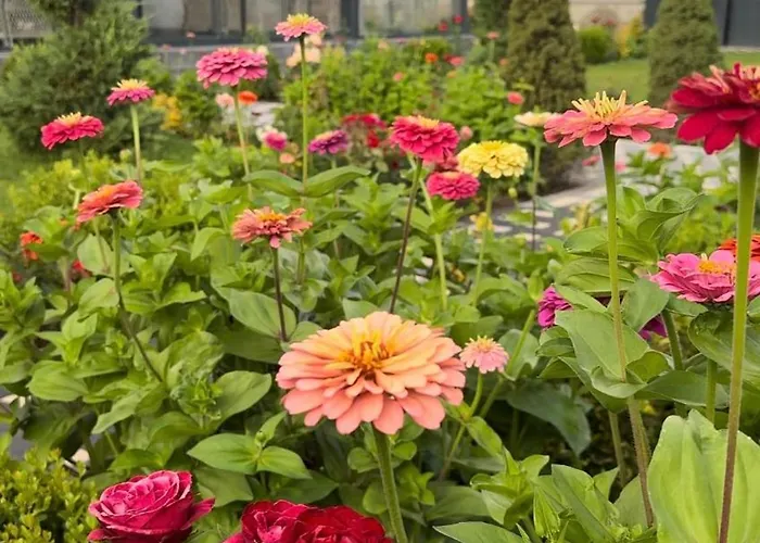 Luxury Near Erciyes Villa Hacilar